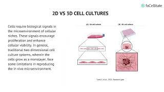 Spheroids and three dimensional stem cell cultures