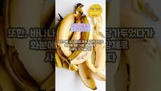 생활 속 친환경 꿀팁 3가지 #healing #명언 #명상 #지식