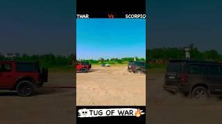 Mahindra Thar vs Mahindra Scorpio Classic TUG OF WAR ️