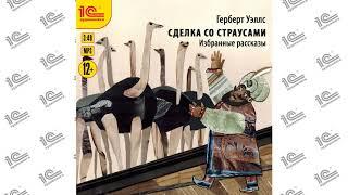 Из окна (Г. Уэллс) Сборник рассказов "Сделка со страусами". Читает Федор Степанов