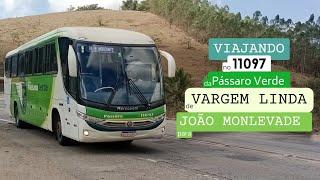 FOGUETINHO! Viagem DIURNA no 11097 da Pássaro Verde de VARGEM LINDA a JOÃO MONLEVADE!