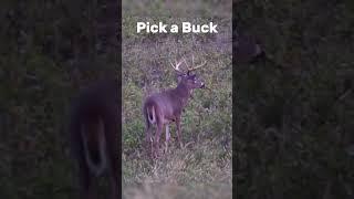 Pick a Buck #fishing #deer #deerhunting #deerseason #hunting #countrymusic #wildlife #bucks #deer