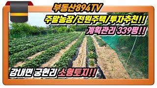 [청주토지매매]전원주택/주말농장/투자 추천 진입로 좋은 땅!!청주시 흥덕구 강내면 궁현리 토지매매!!,#청주토지매매,#강내면궁현리토지매매,#청주흥덕구토지매매