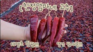 왐마 "건고추&고춧가루" 하믄 해남 땅끝 친정엄마네 고추랑께