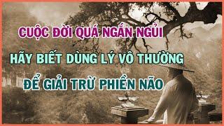 Cuộc Đời quá ngắn ngủi Hãy Biết Dùng LÝ VÔ THƯỜNG để Giải Trừ PHIỀN NÃO