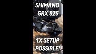 Shimano GRX 825 1X setup possible! 2x setup with 40T cassette / cogs also possible!