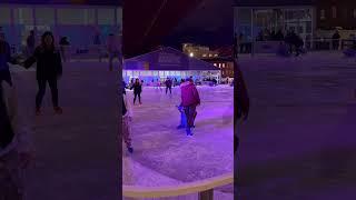 ROEBLING RINK under the BROOKLYN BRIDGE in Brooklyn, New York City