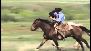 Waggoner Ranch 1994 AQHA Best Remuda Award winner