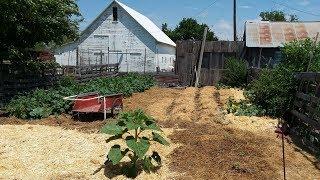 Homestead Garden Tour 2018