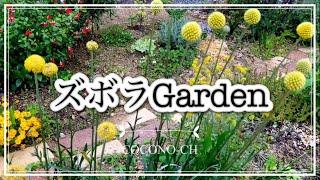 【ガーデニングvlog】ズボラGarden/癒しの庭/粘土質の土を自己流土壌改良した庭/flowers/gardening