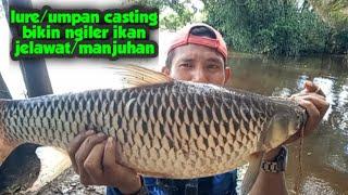 lure/umpan casting bikin ngiler ikan jelawat/manjuhan