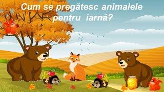 Cum se pregătesc animalele pentru iarnă? | Hibernarea animalelor| Iarna în pădure