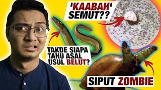 5 PERANGAI TERANEH HAIWAN YANG KORANG PASTI TAK PERCAYA!