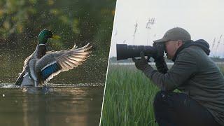 The Best Camera Features for Bird Photography and Why You Need Them