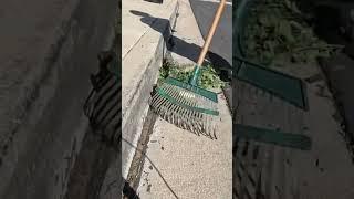 #satisfying leaf cleanup tidy #garden with #milwaukeetools #treetrimming