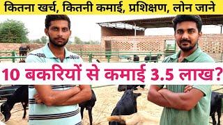 नोकरी नहीं बकरी पालन करते युवा|How to Start Goat farming in india|Bakri Palan in Hindi