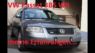 VW Passat 3BG 3BS W8 meine Erfahrungen
