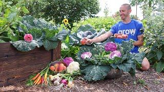 Brilliant Backyard Garden Harvest, Sustainable Food Forest on a Suburban Lot