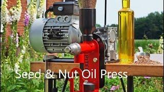 Professional high quality oil press for small scale oil production and kitchen machine for fresh oil