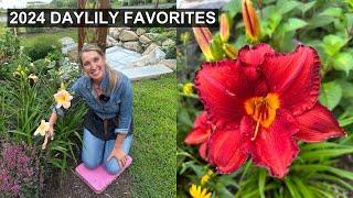 Daylily Favorites | Low Maintenance Perennial  