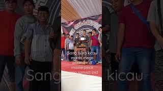 sang juara kicau mania mega platinum di masterpiece arena samsat bsd city