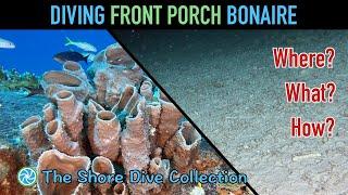 Diving Front Porch Bonaire | The Shore Dive Collection | TropicLens - 4K