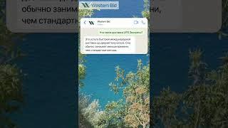 Быстрая международная доставка