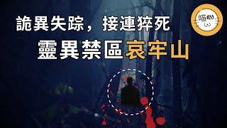 地質人員禁區失踪，被發現時面帶詭異笑容，村民接連猝死，指南針失靈，哀牢古國的鬼魂遊蕩至今？揭秘哀牢山詛咒傳聞 | 喵心揭秘