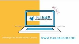 USA Business Database - Blueline Edition from Mailbanger.com