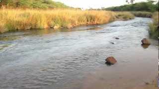 A stream near Talamanchi - Part 1/3