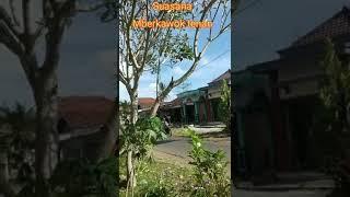 Ingat Waktu Kecil