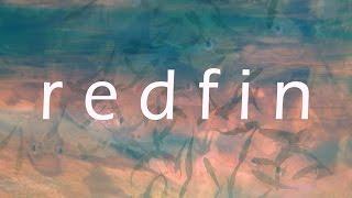 redfin