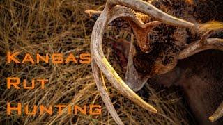 Bowhunting The Kansas Rut