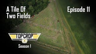 Top Crop | Episode 11