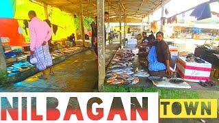 Nilbagan town, town in Assam India, village life, rural India, market place,