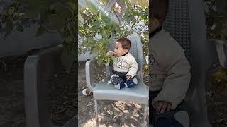 Mashallah #music #arabic #song #shortvideo #yousif #youshorts#shortvideo #cutebaby#music #anaya