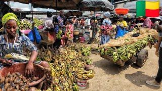 Cost of living in Benin 2024 .My $20 shopping in the biggest market in Cotonou Benin West African.