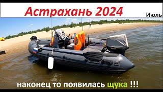 Рыбалка, Астрахань 2024 /Июль/наконец то появилась Щука!!!