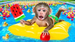 Bibo Monkey Explore Inflatable Toys at Swimming Pool and Take Care of Duckling | KUDO ANIMAL BIBO