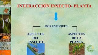 Clase teórica Nº7: Resistencia de las plantas a los insectos (Módulo 1)