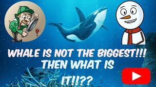 10 INTERESTING FACTS THAT WILL BLOW YOUR MIND!!! || Factanime ||