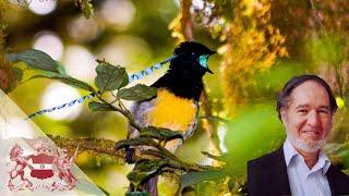 The Marvel of New Guinea Birds | Jared Diamond