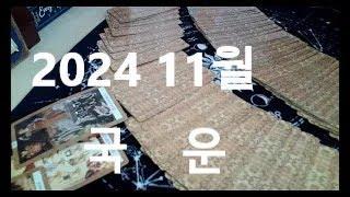 2024년 11월 국운 (2주전 읽고 깜빡 잊고 못올렸습니다)