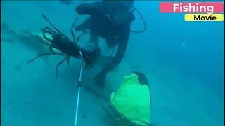 Luar Biasa !!! Berburu Lobster dan Gurita Besar di laut