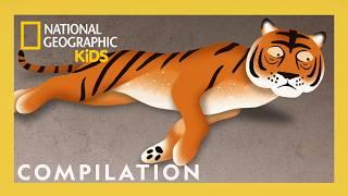 Weird But True! Shorts Compilation | Funny Animals  | @natgeokids