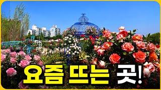 "1 million visitors in 5 days" A massive garden you can see in the heart of Seoul | Solo Travel