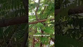 #bismillah