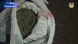 Наркотики на 100 млн тенге изъяли в Семее | Видео Nur.kz