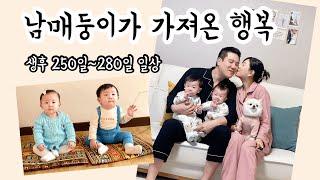 VLOG | 남매둥이 육아를 하면서 또다른 행복을 배웁니다|생후250~280일 쌍둥이육아일상