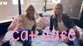 GOING TO A CAT CAFE | Nolan Twins